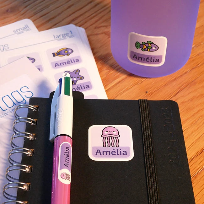 Petit Pack Eco avec le format Large et le format Small pour l’école